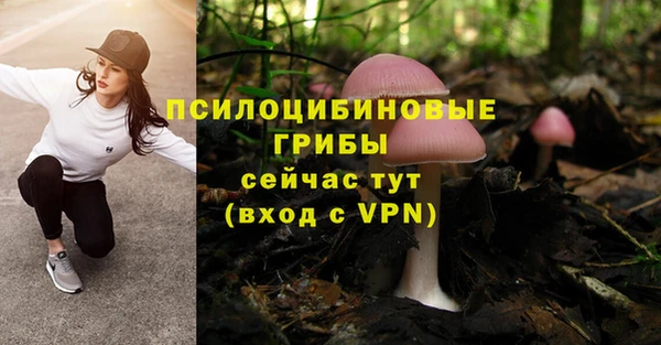 скорость Алексеевка