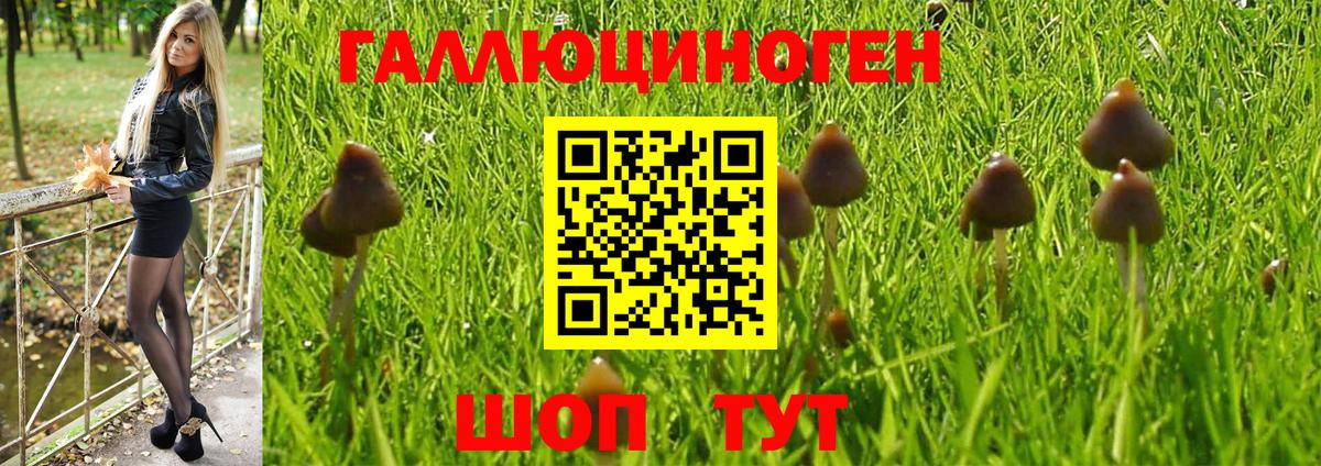 Галлюциногенные грибы Magic Shrooms Волхов