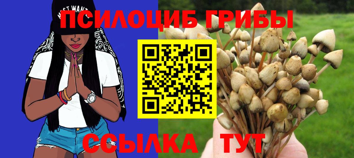 Волхов  Галлюциногенные грибы Psilocybe  Вход с VPN  Псилоцибиновые грибы ЛСД 
