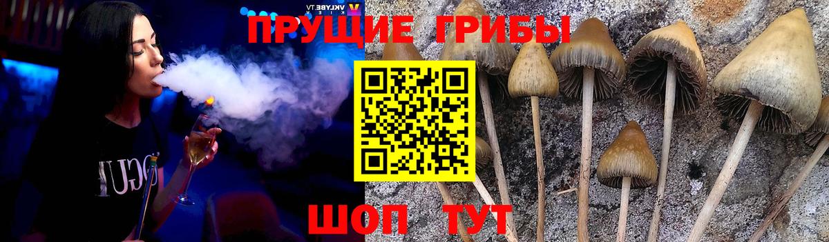 Галлюциногенные грибы Magic Shrooms Волхов