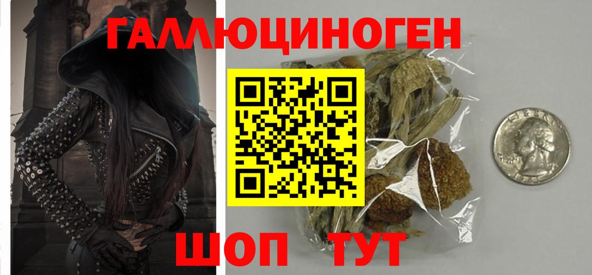 Псилоцибиновые грибы Cubensis  Волхов 