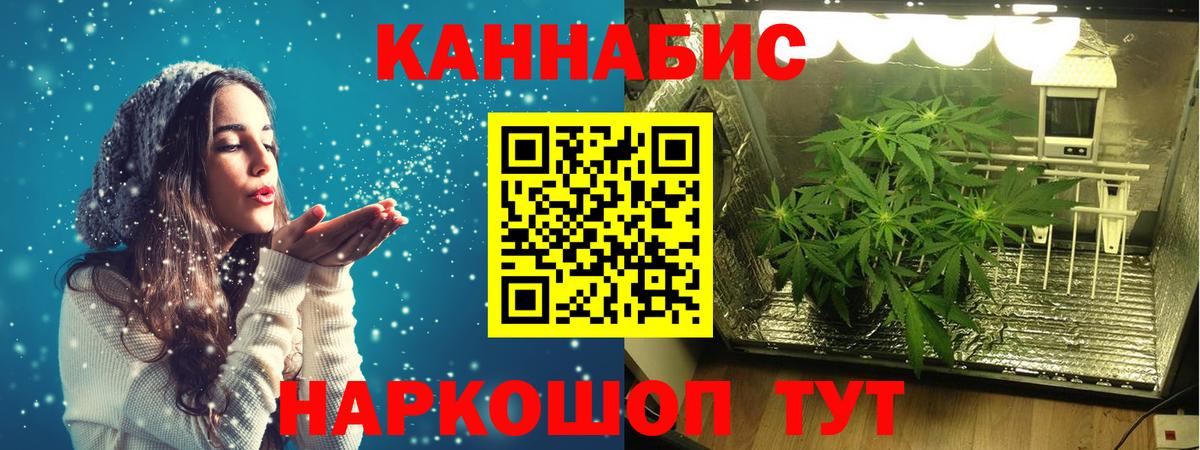 Бошки Шишки сатива Волхов