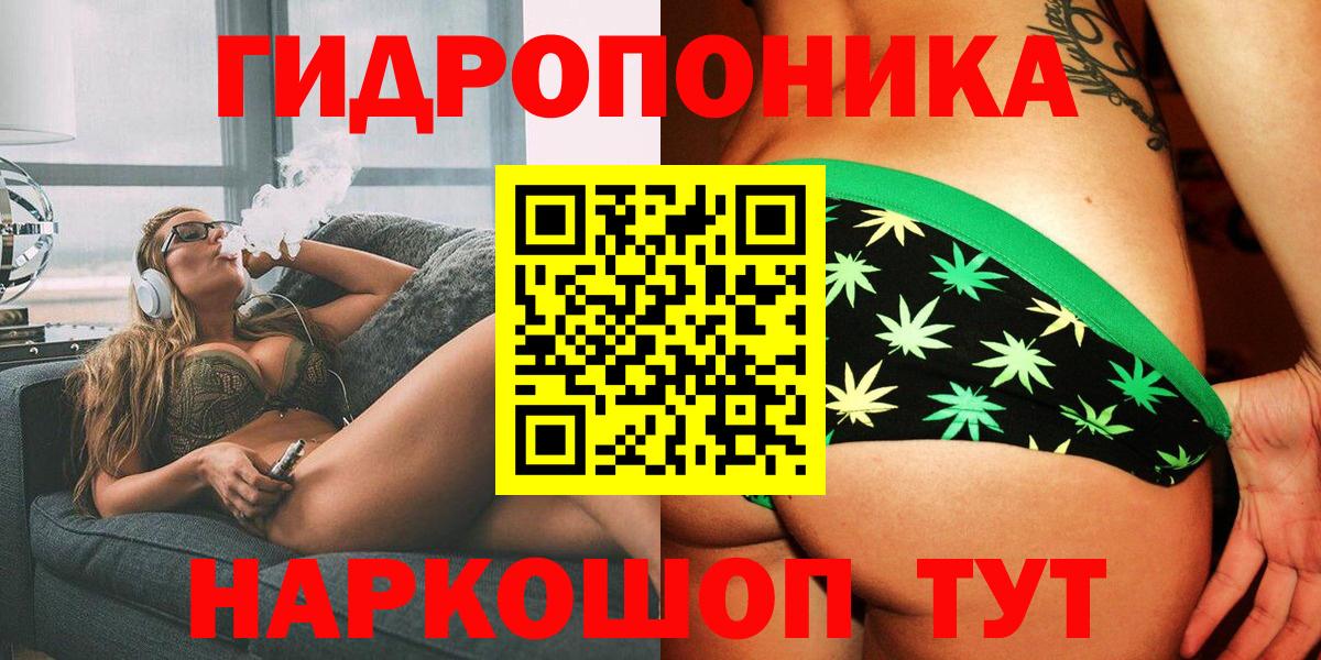 Бошки Шишки конопля Волхов